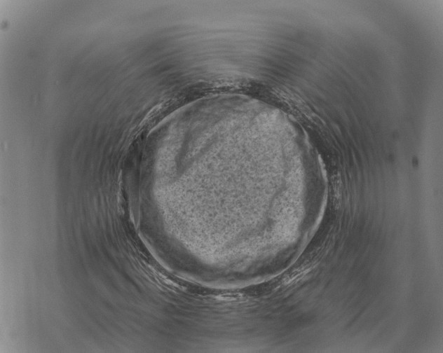 X0000072530916200608041553