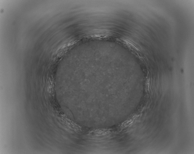 X0000072530917200608041553