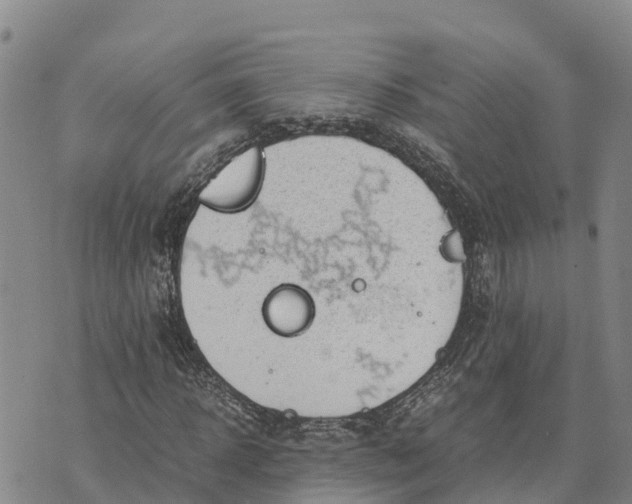 X0000072530918200608041553