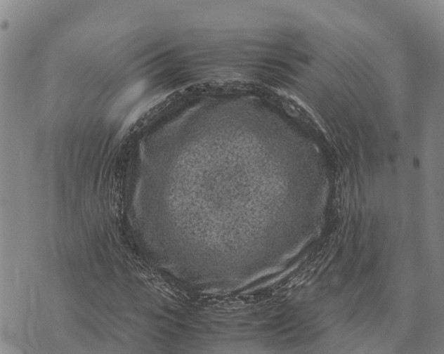 X0000072530919200608041553