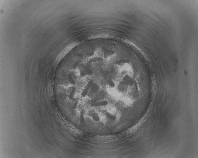 X0000072530921200608041553