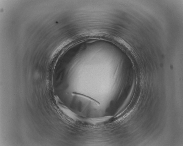 X0000072530922200608041553