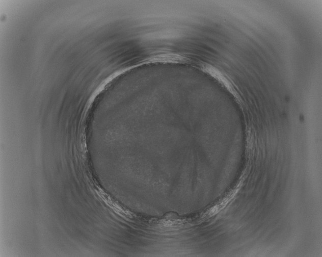 X0000072530923200608041553