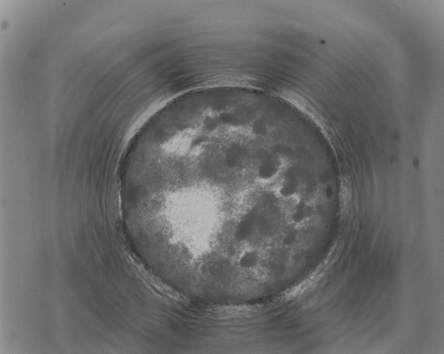 X0000072530925200608041553