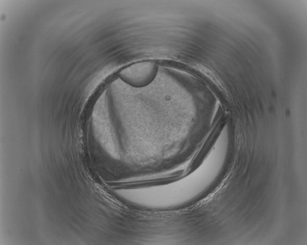 X0000072530926200608041553