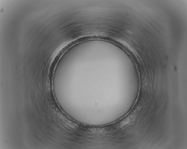 X0000072530927200608041553