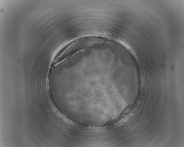 X0000072530928200608041553