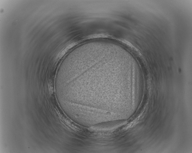 X0000072530929200608041553