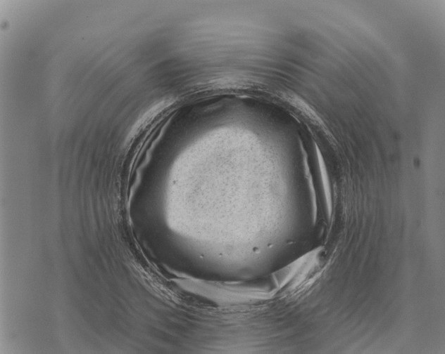 X0000072530930200608041553