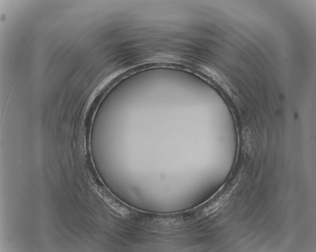 X0000072530931200608041553