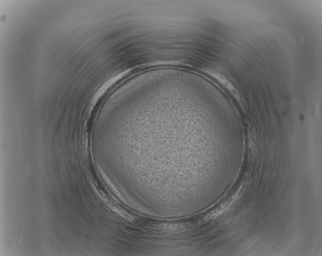 X0000072530933200608041553