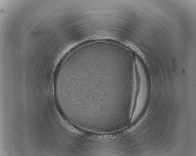 X0000072530934200608041553