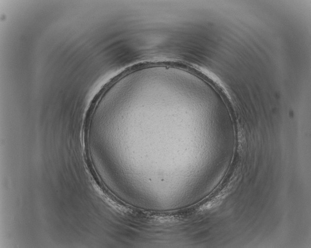 X0000072530935200608041553