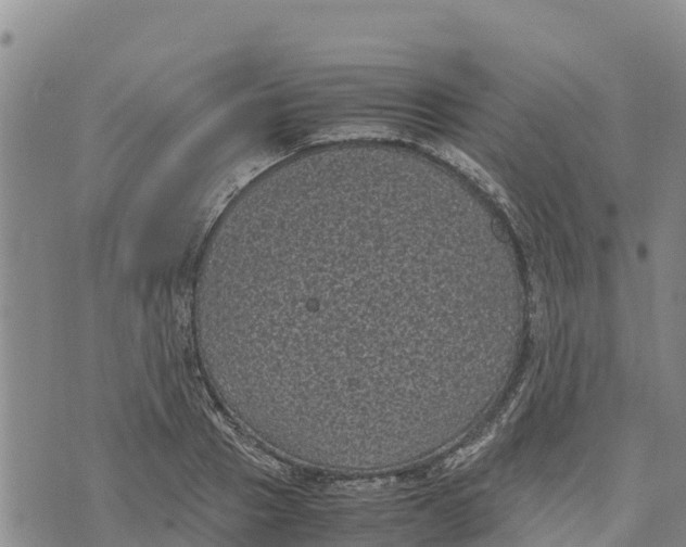 X0000072530937200608041553