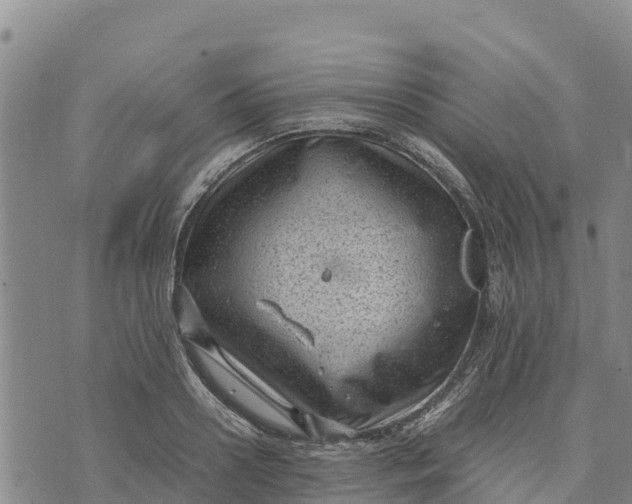 X0000072530938200608041553