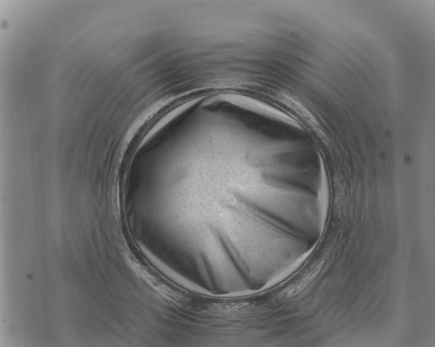 X0000072530939200608041553