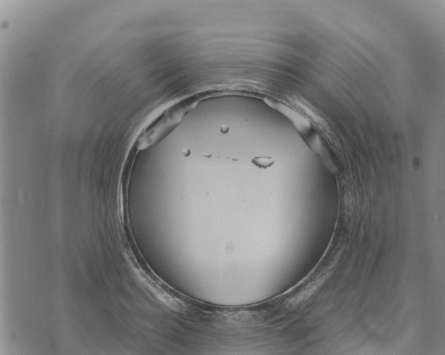 X0000072530940200608041553