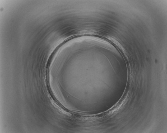 X0000072530941200608041553