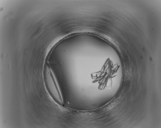 X0000072530943200608041554