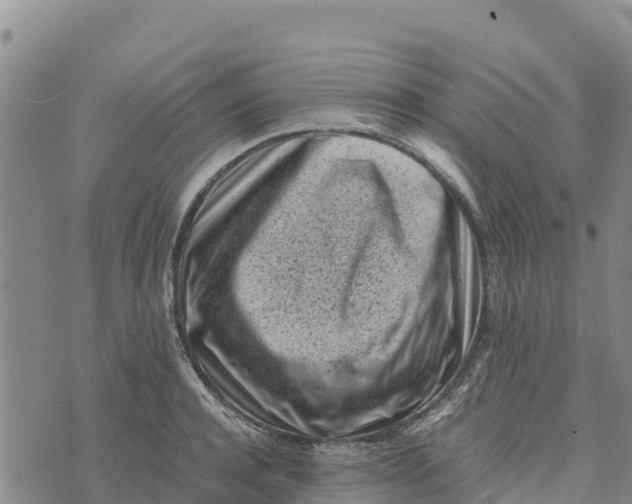 X0000072530944200608041554