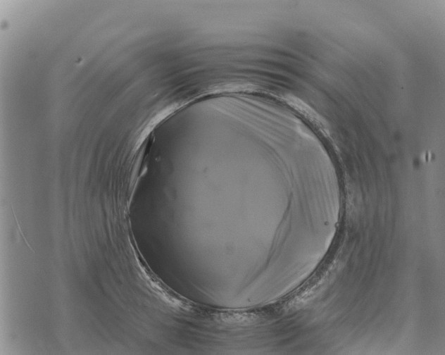 X0000072530945200608041554