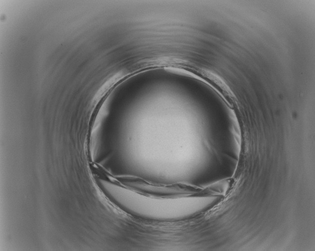 X0000072530946200608041554