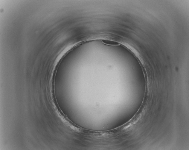 X0000072530949200608041554