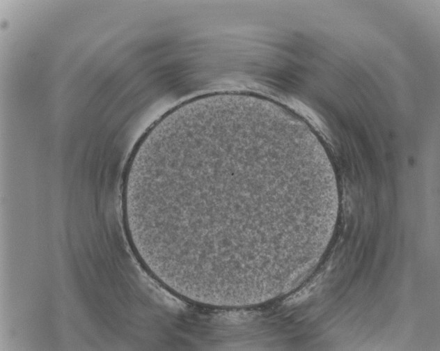 X0000072530950200608041554