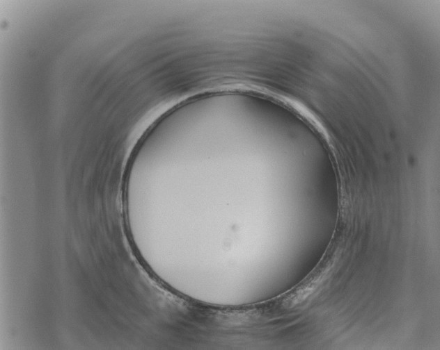 X0000072530951200608041554