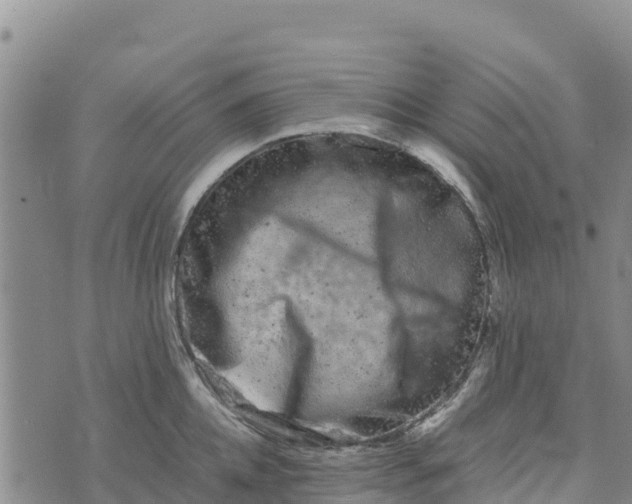 X0000072530952200608041554