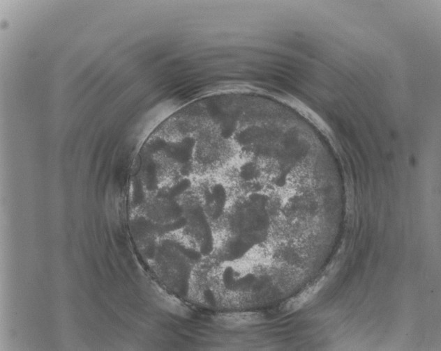 X0000072530953200608041554