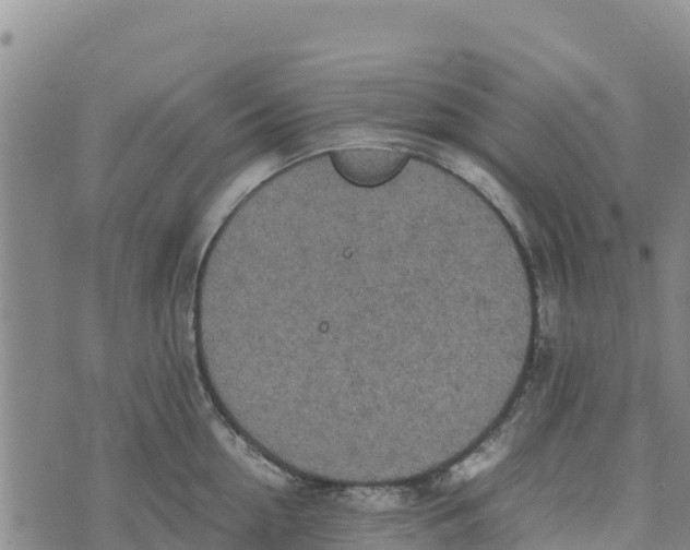 X0000072530954200608041554