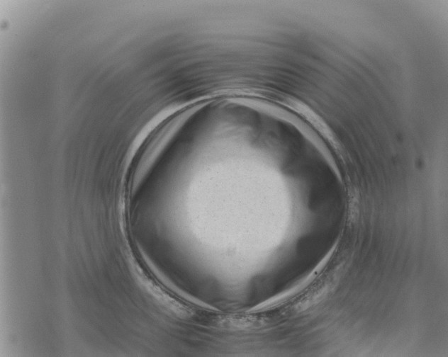 X0000072530955200608041554