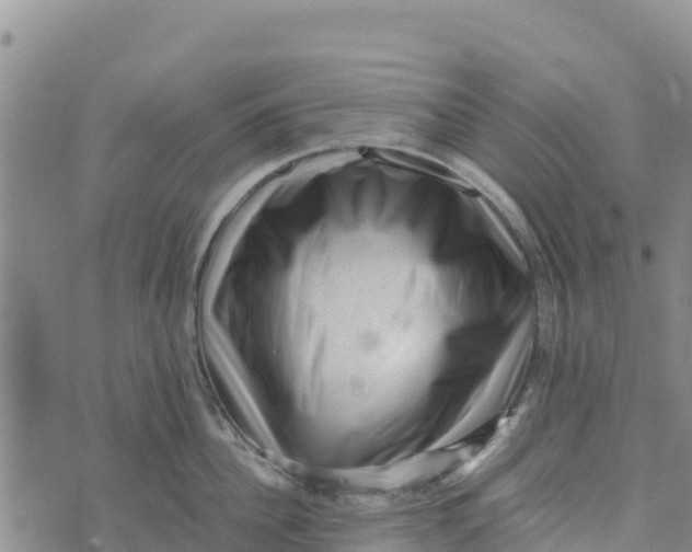 X0000072530956200608041554