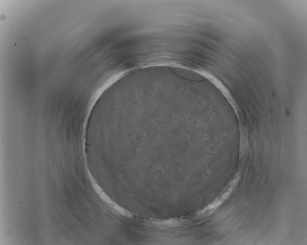 X0000072530957200608041554