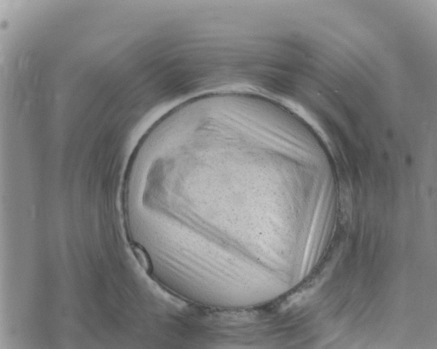 X0000072530959200608041554