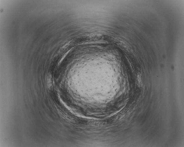 X0000072530963200608041553