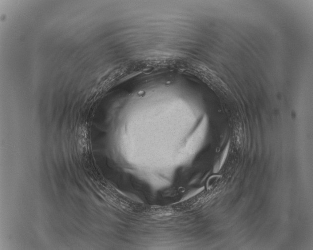 X0000072530964200608041553