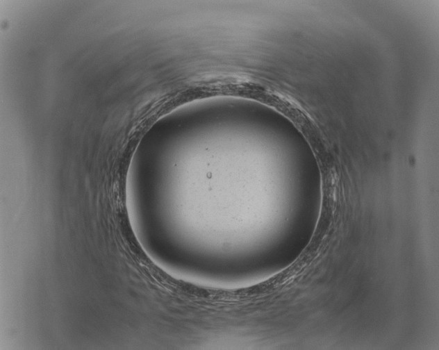 X0000072530965200608041553