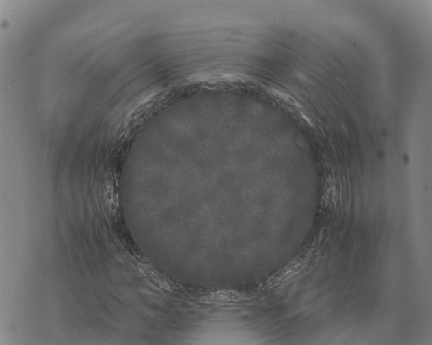 X0000072530966200608041553