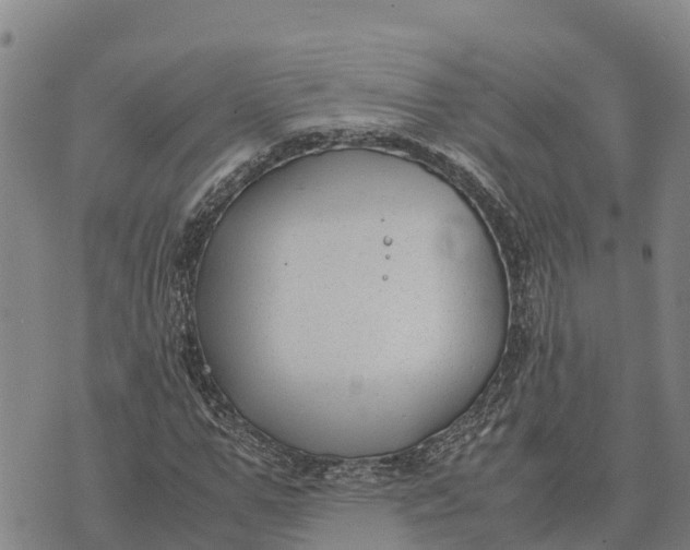 X0000072530967200608041553