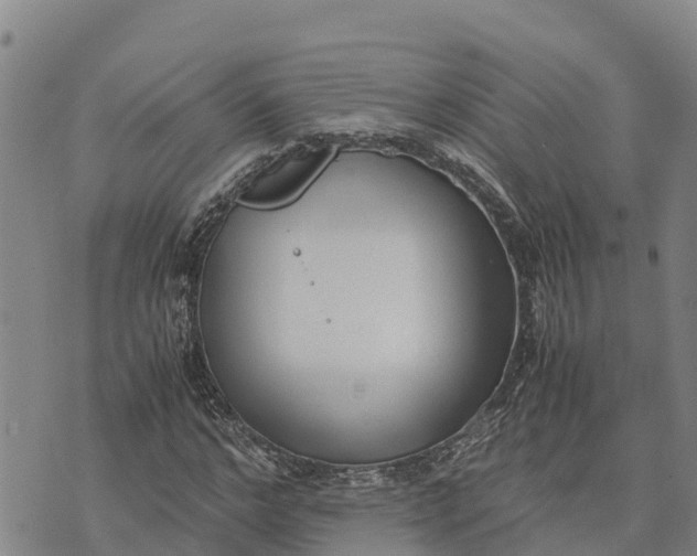 X0000072530968200608041553