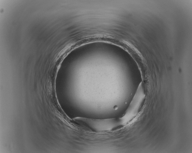 X0000072530969200608041553