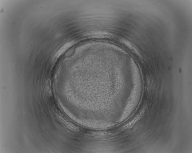 X0000072530970200608041553