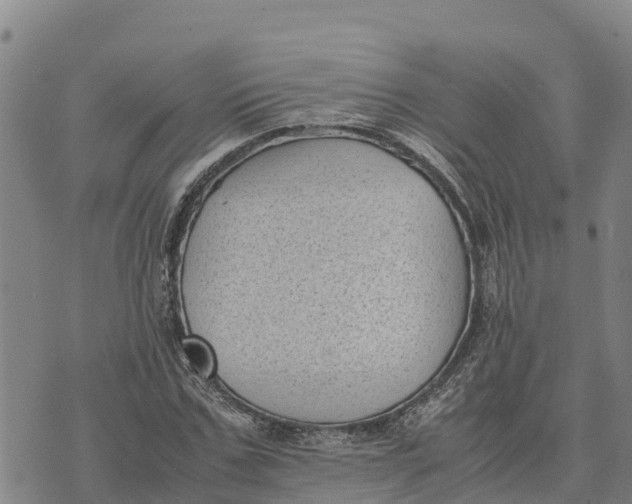 X0000072530971200608041553