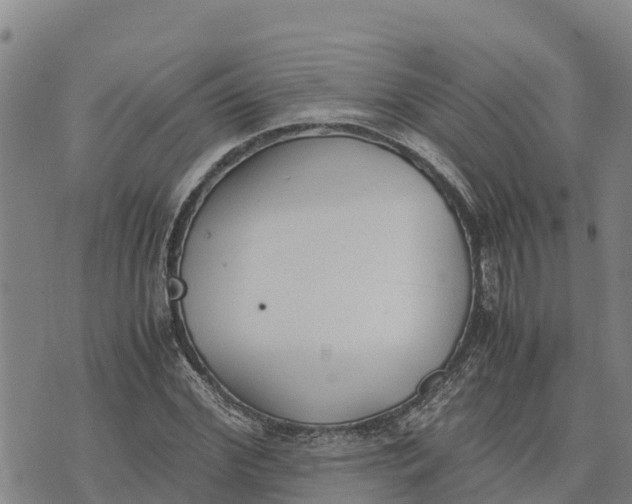 X0000072530972200608041553