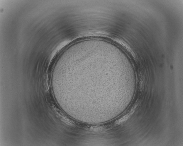 X0000072530974200608041553