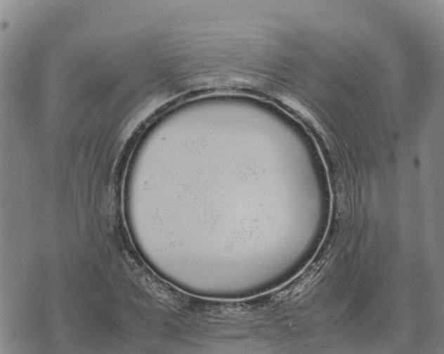 X0000072530975200608041553