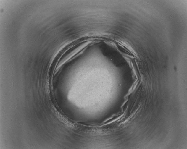 X0000072530976200608041553