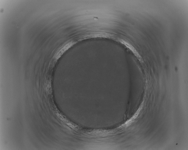 X0000072530977200608041553